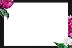 Modèle d’impression photobooth fuchsia – catégorie Sonstiges